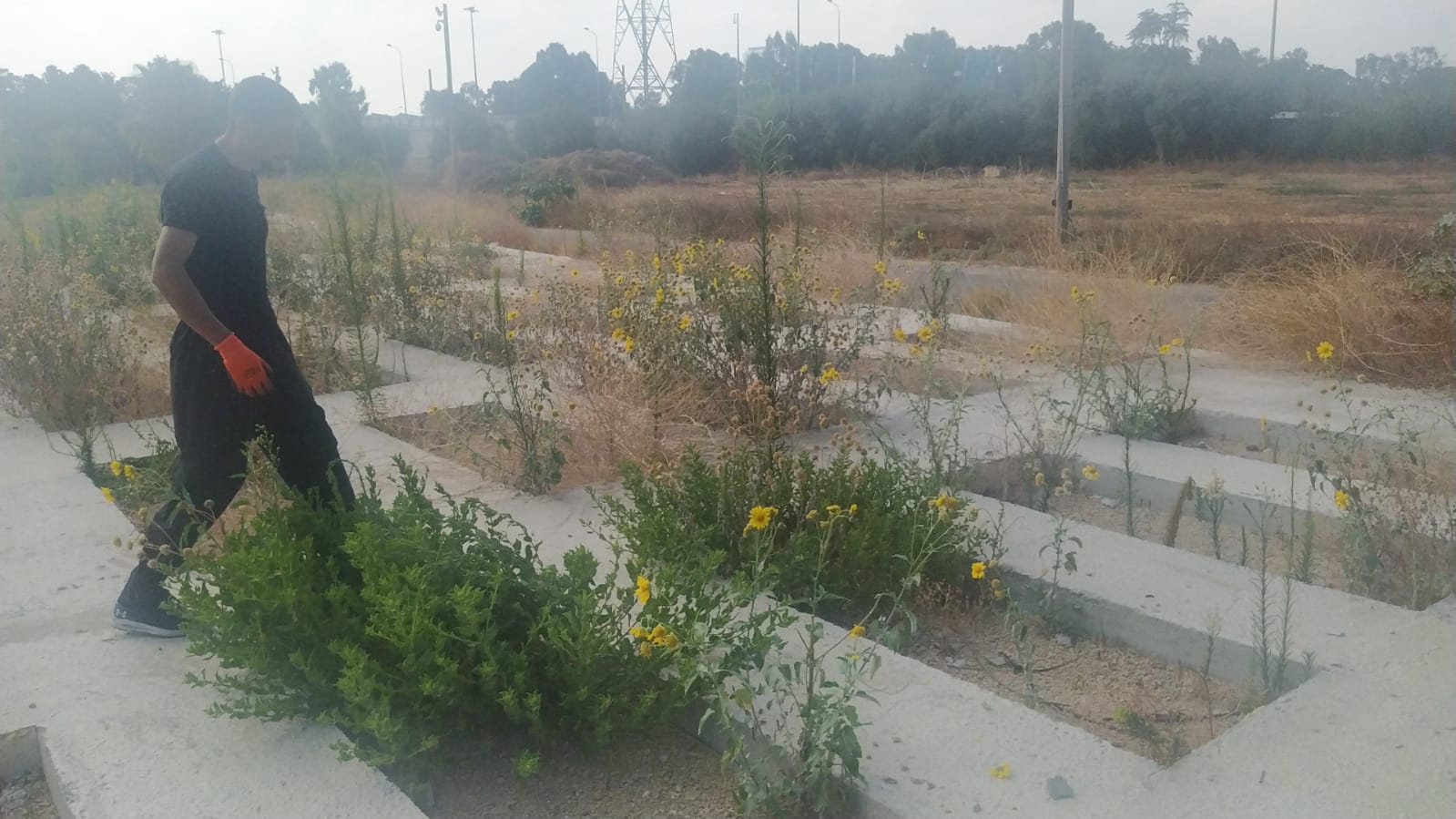 WhatsApp Image 2021-07-10 at 9.38.32 AM (1).jpeg